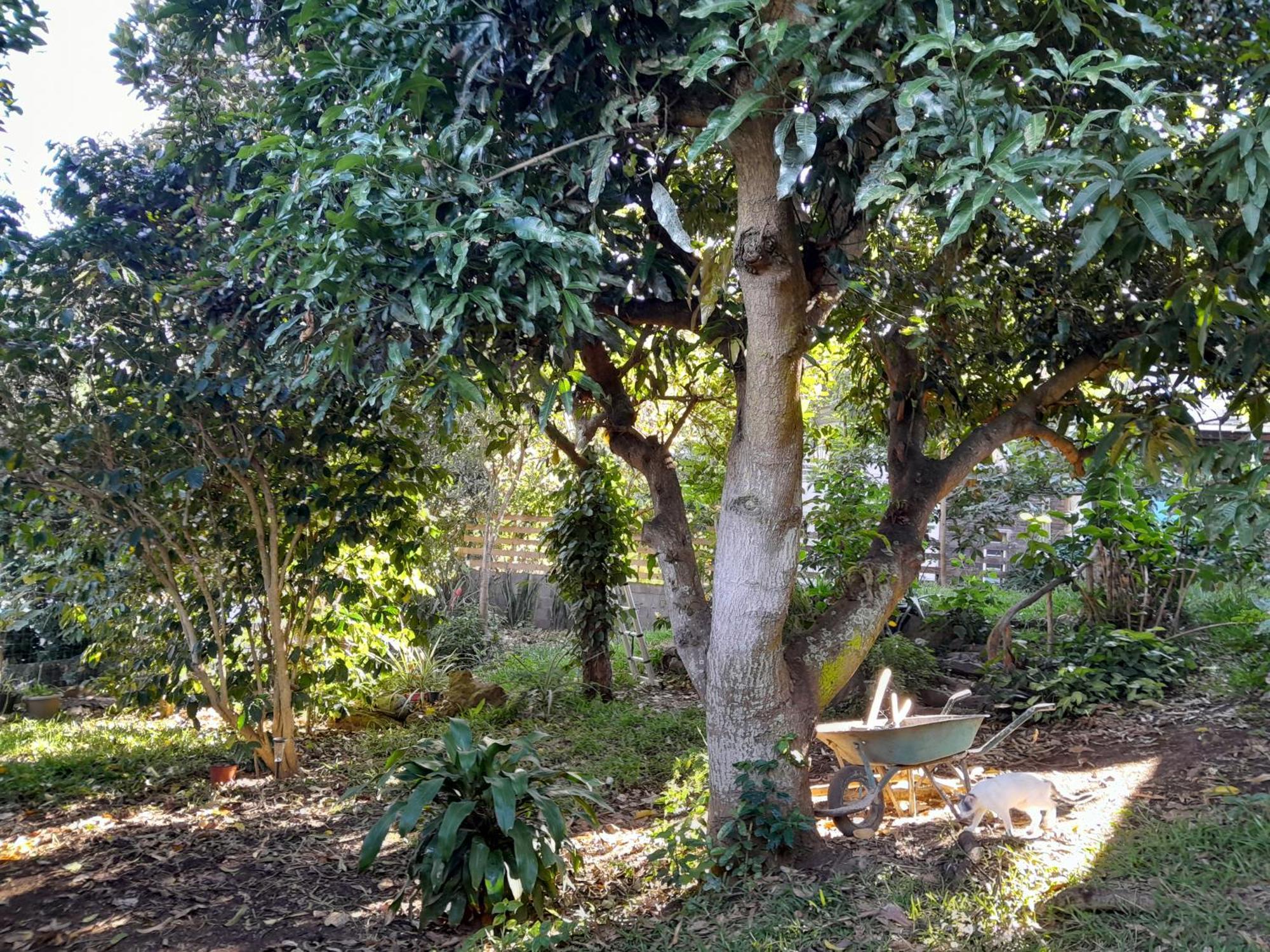 Ti Kaz Kafe - Charmante Case Creole Independante A St Leu Saint-Leu Dış mekan fotoğraf